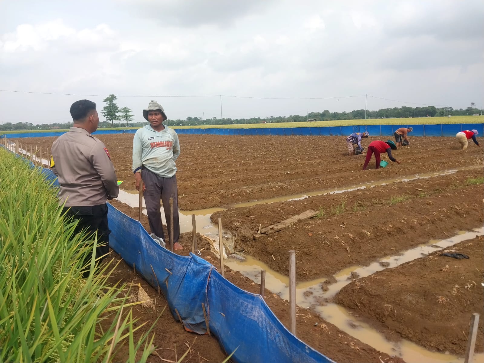 WhatsApp Image 2025-08-18 at 14.33.01