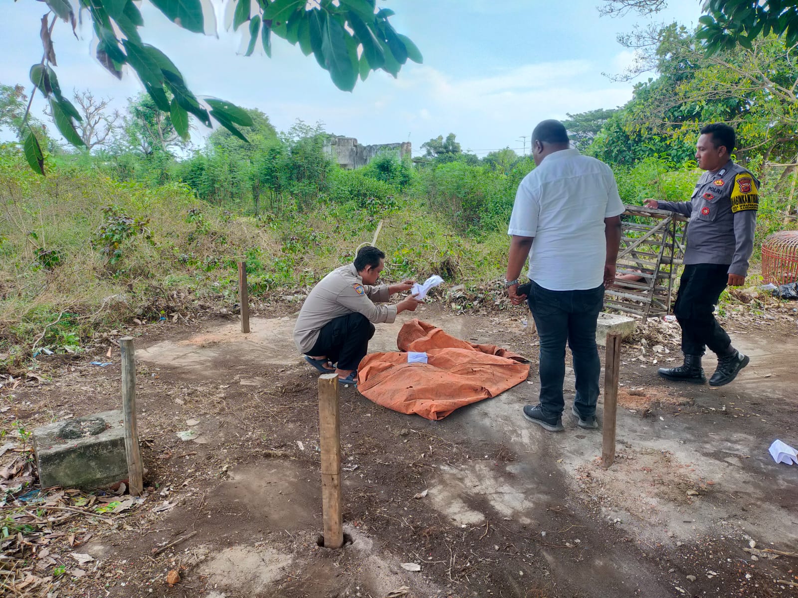 WhatsApp Image 2025-10-20 at 19.37.35